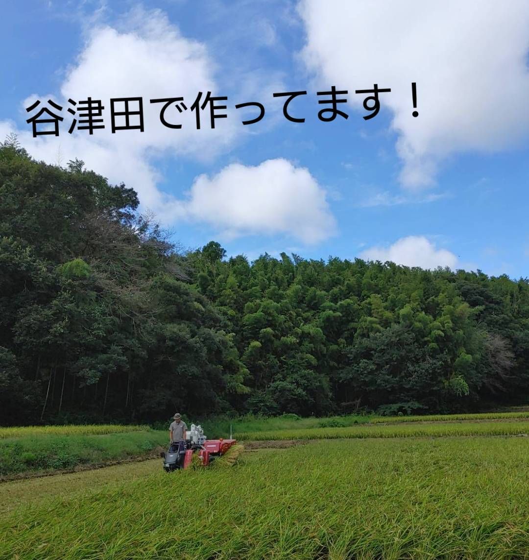 のし餅【杵つき餅】２㎏×２枚