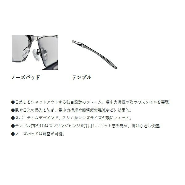 偏光サングラス