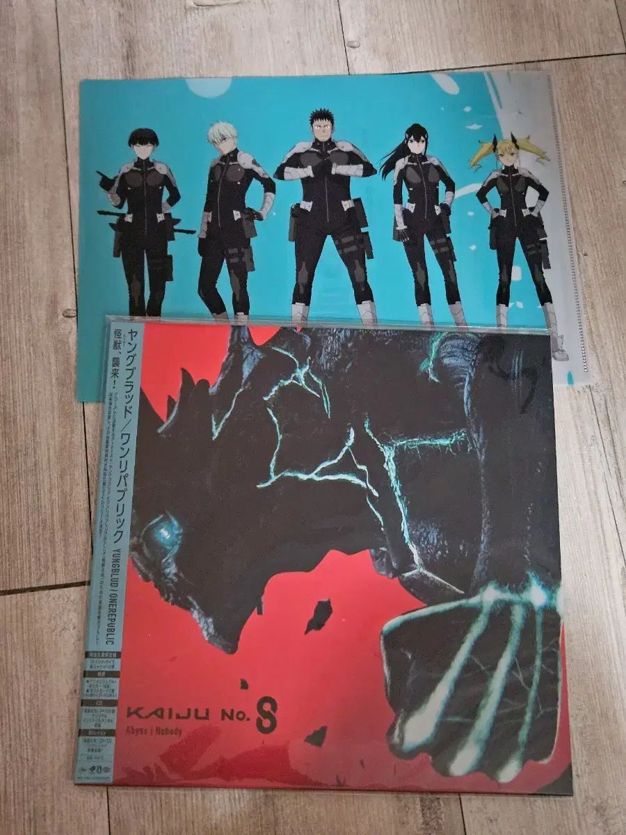 鉄道廃品 東武鉄道種別表示板