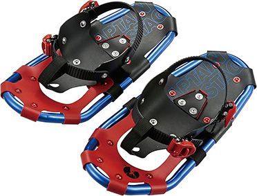 節約 希少特大シャコガイ