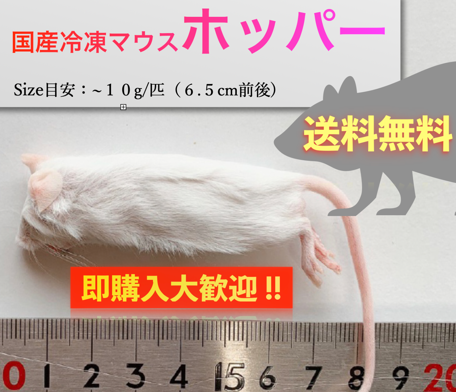 国産冷凍マウス ホッパー 20匹 - ペットフード
