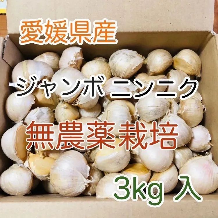 無農薬栽培】ジャンボニンニク 3kg 入 - メルカリ