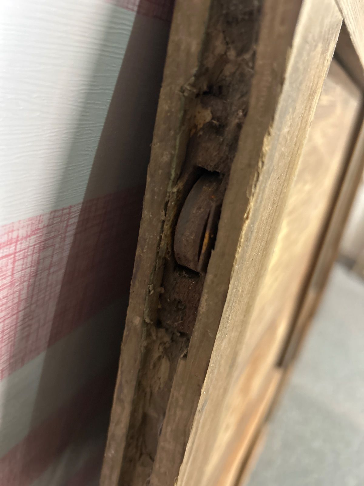 2枚セット 昭和レトロ