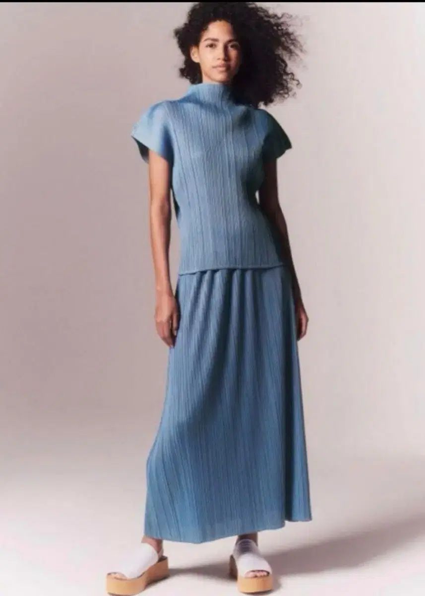 PLEATS PLEASE プリーツプリーズ 6 月 毎月 モックネック ハイネック トップス スカート セット