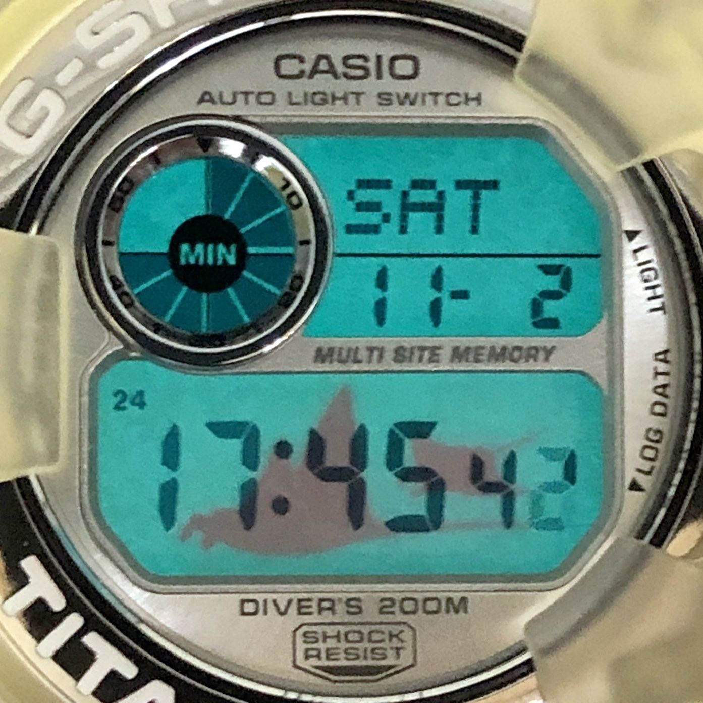 CASIO G-SHOCK DW-9900WC FROGMAN WCCS G-SHOCK DW-9900WC-7T FROGMAN