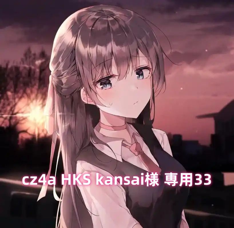 cz4a HKS kansai様 専用33