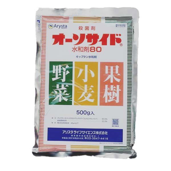 麗紅みかん大苗木 レモンの横に♪オススメ2個実付き✿✿ レモン 苗木