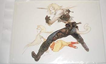 ファイナルファンタジー シリーズ クリアファイル　FINAL　FANTASY IX ファイル　スクウェア・エニックス qqffhab ファイナルファンタジー シリーズ クリアファイル FINAL FANTASY