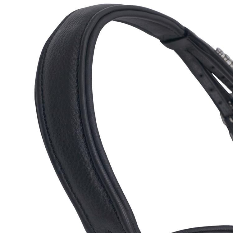 本革レザー たいろく