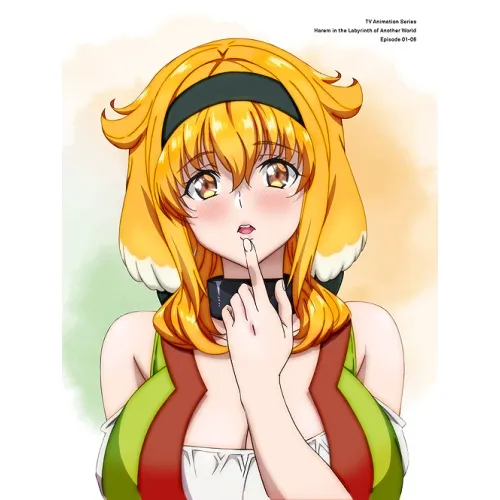 2025年最新】異世界迷宮でハーレムをdvdの人気アイテム - メルカリ