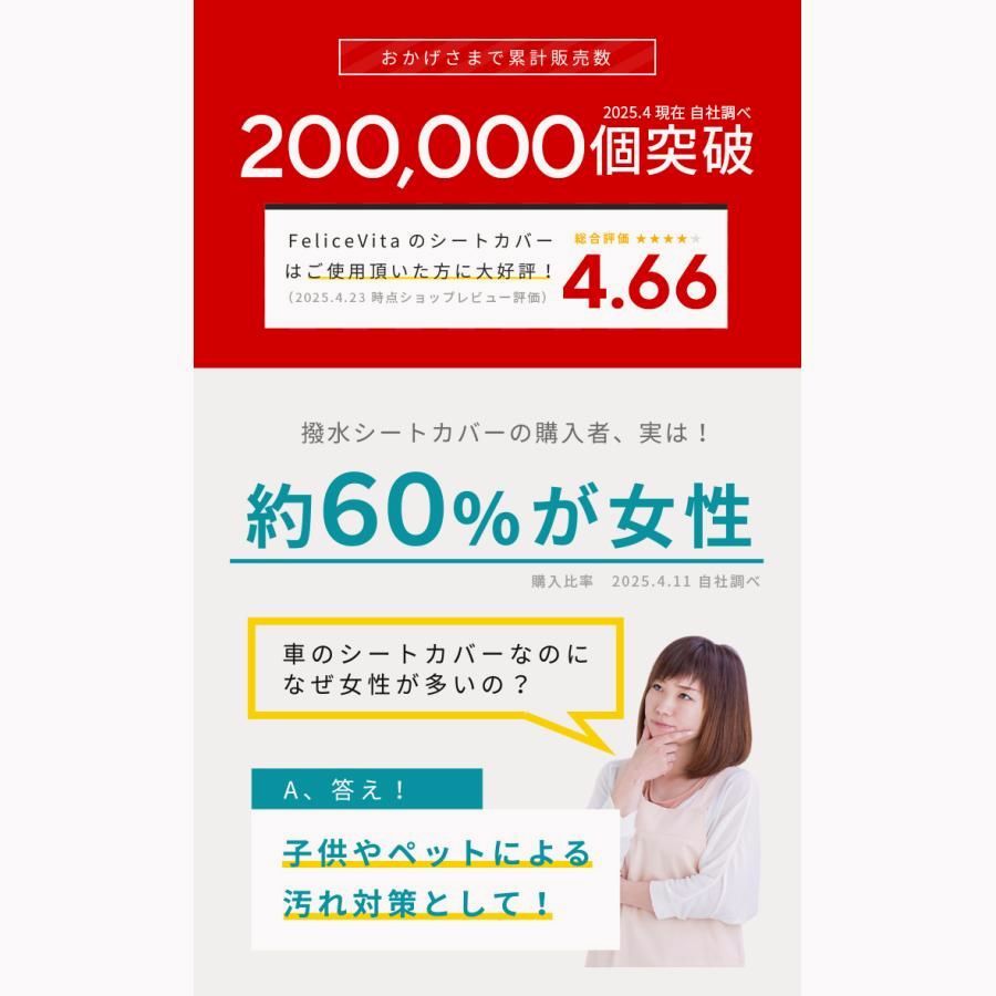 モンブラン光触媒プラス