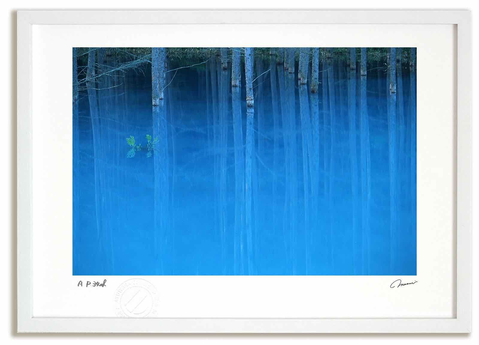 【平等院鳳凰堂図】苑渓 983 京都 共箱　掛け軸　肉筆 平等院鳳凰堂図】苑渓 983 京都 共箱 掛け軸 肉筆 平等院鳳凰