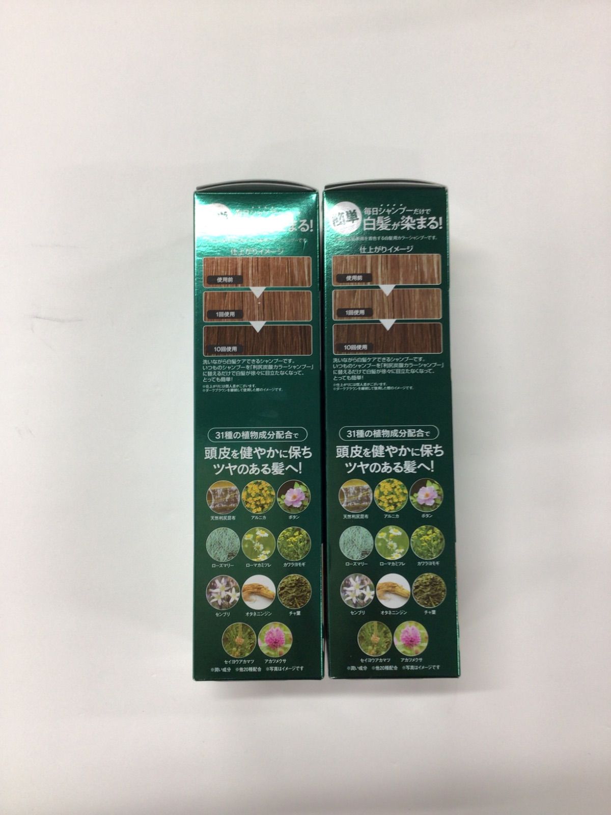 F434 利尻昆布 利尻炭酸カラーシャンプー ダークブラウン 180g 2点セット