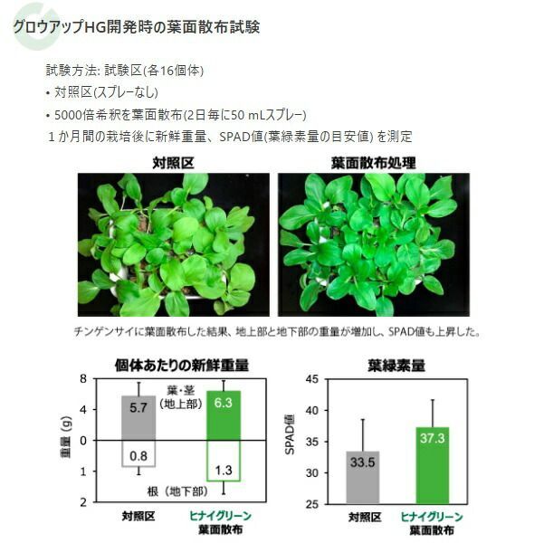 微生物活性剤 バチルス菌