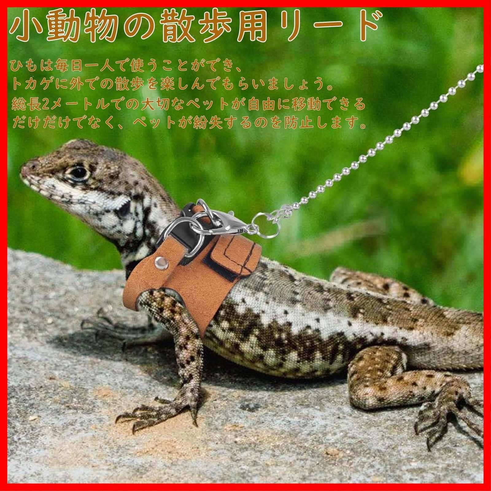 動物 Days Won EXOPEACE - 川口市西青木 - トリコカワグチ[川口市]