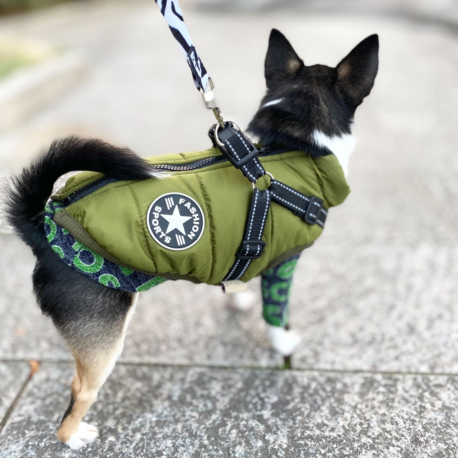 新品 L 防水 ダウンベスト風 ハーネス（緑） 犬服 猫服 防寒 冬 犬の服