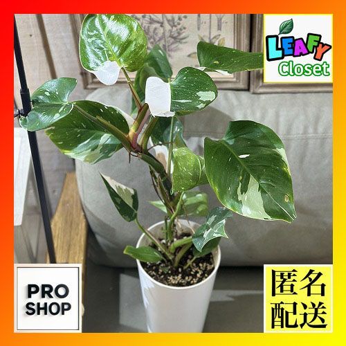 貴重 レア イマン ガラステーブル ローズバスケット シャビー