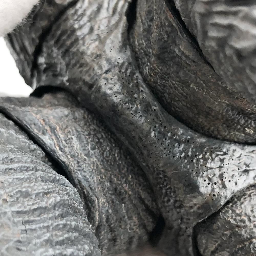 開封 Hiya Toys ハイヤトイズ ゴジラvsコング エクスフィジット ベーシック ゴジラ 2021 17