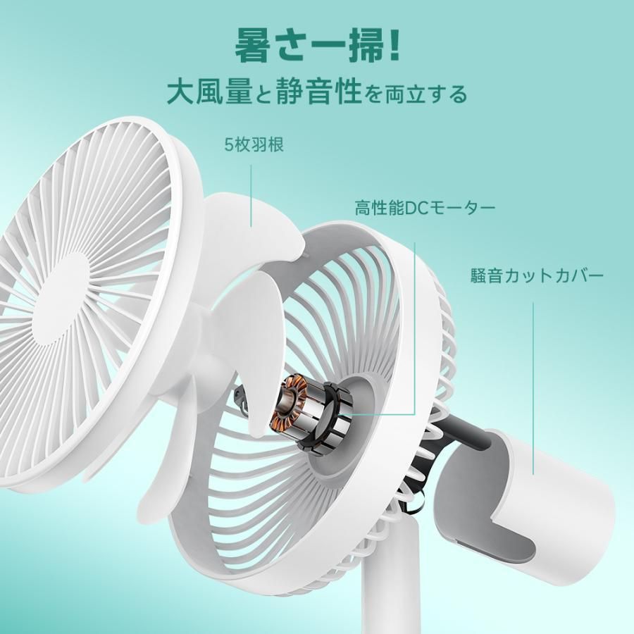 小型