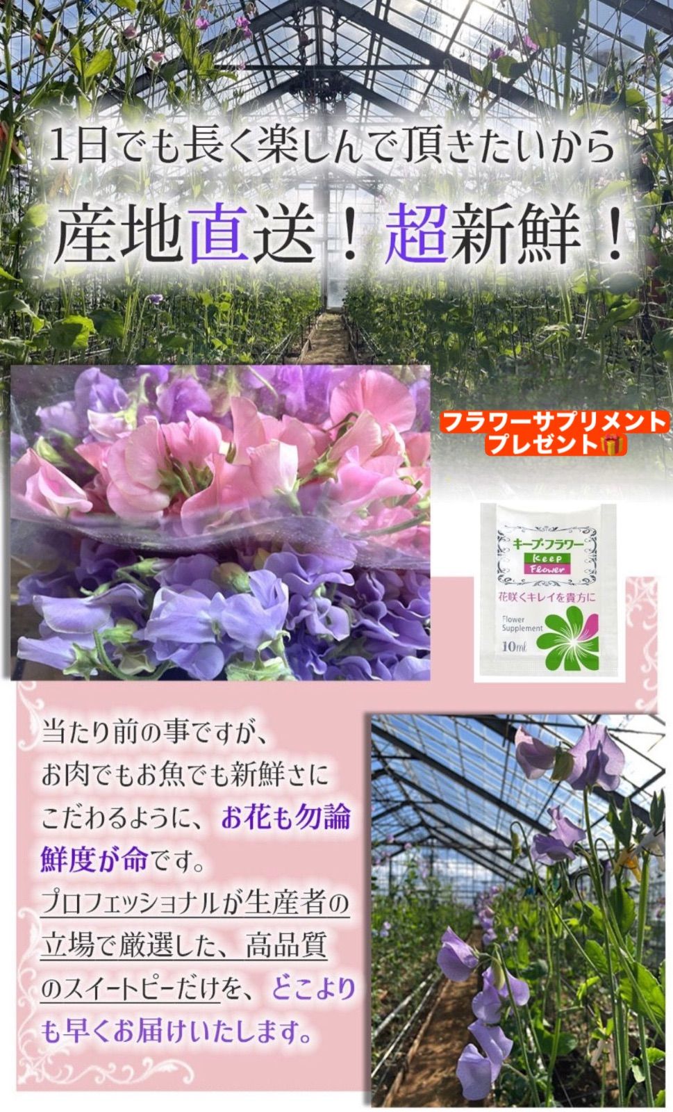 花束 発送日に収穫