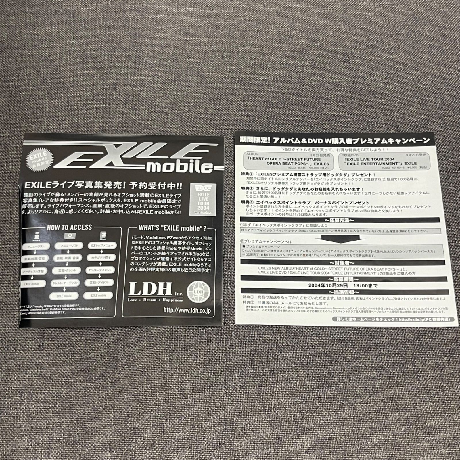NPA】EXILE エグザイル live tour 2004 ライブツアー DVD - メルカリ
