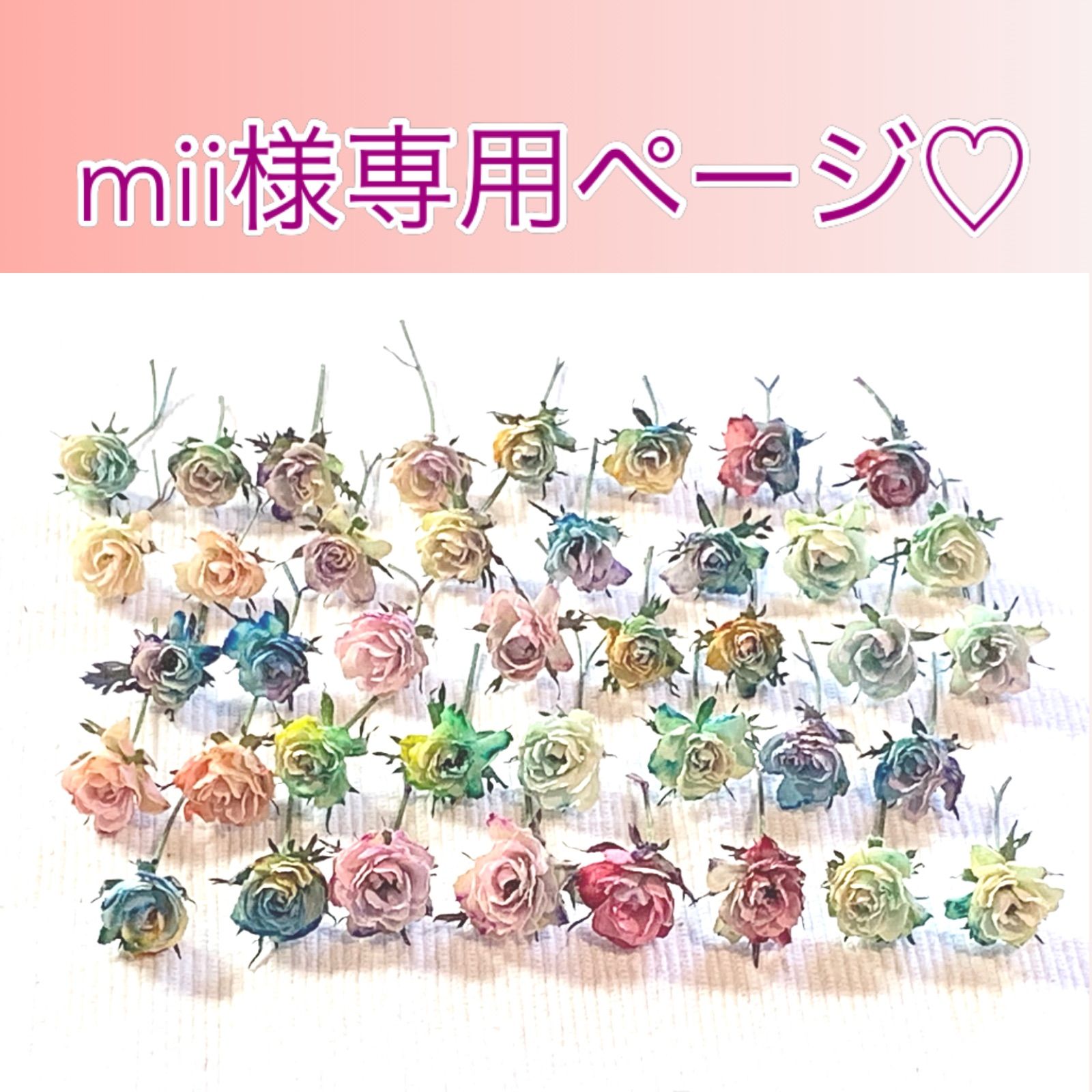 のんちゃん様専用 【公式通販】