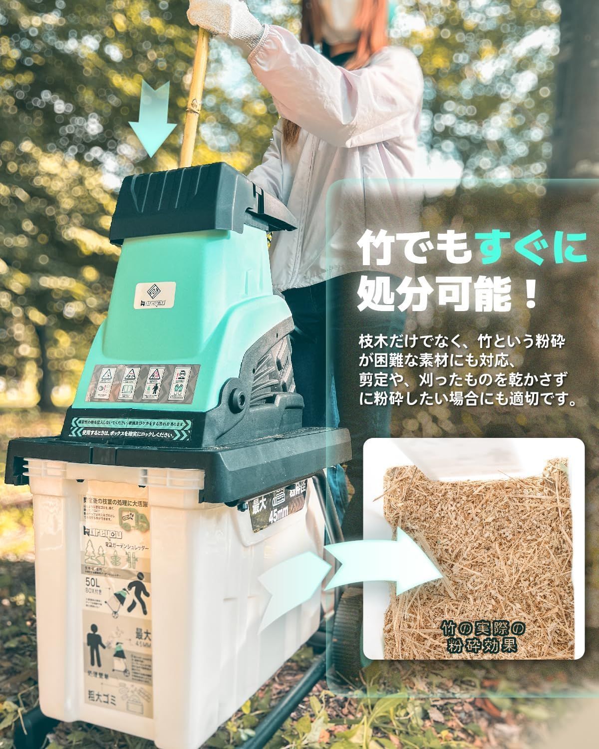 庭木 K50
