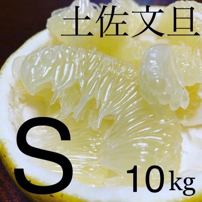 高知県産 土佐文旦10kg Sサイズ 減農薬 農家直送 ご家庭用 わけ有り