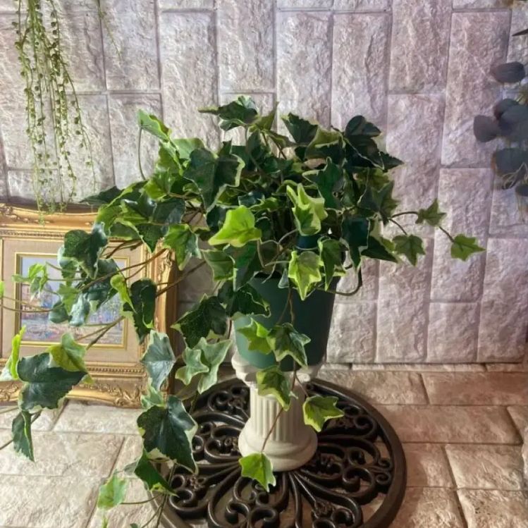 光触媒人工観葉植物ウォールグリーンフェイクグリーンロイヤル胡蝶蘭W/AB