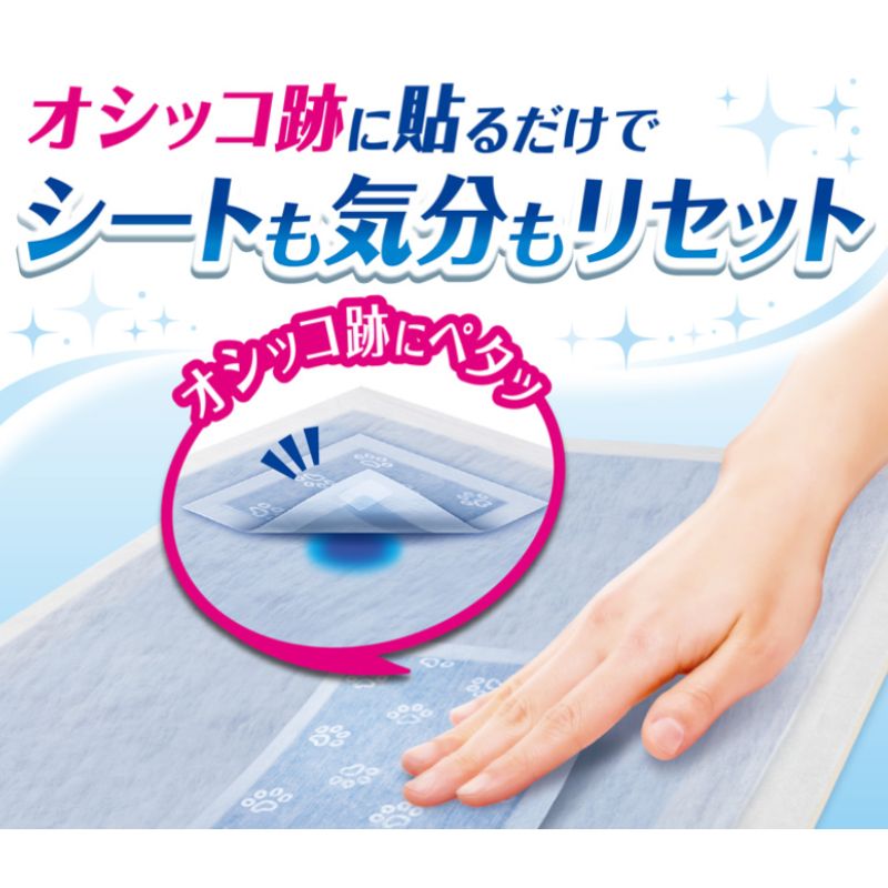 16袋セット
