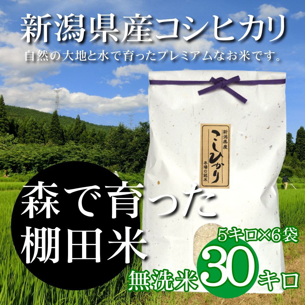 新潟米コシヒカリ 無洗米 30kg（5kg×6袋）雲龍和紙 新潟産こしひかり