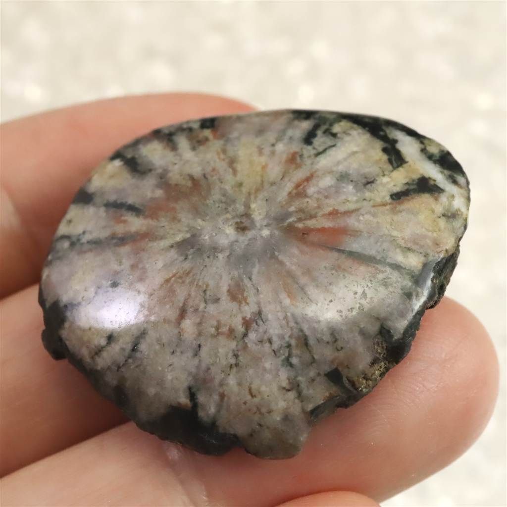 13.7g 榎本通商39076