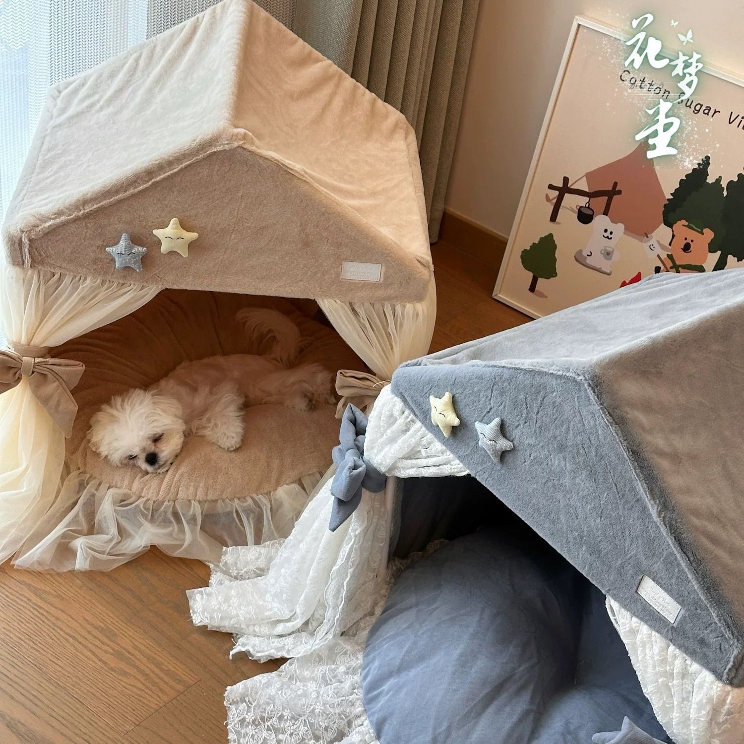 ハウス