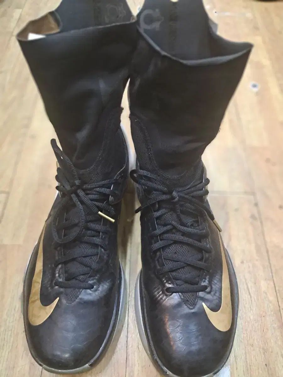 Kd8 エリート 290