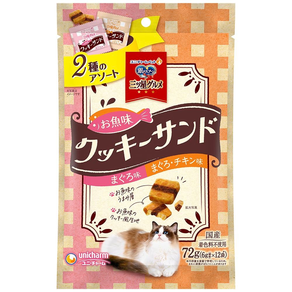 【梶浦由記/ Yuki Kajiura 】梶浦由記　直筆ミニサイン色紙 梶浦由記/ Yuki Kajiura 】梶浦由記 直筆ミニサイン色紙 梶浦由記