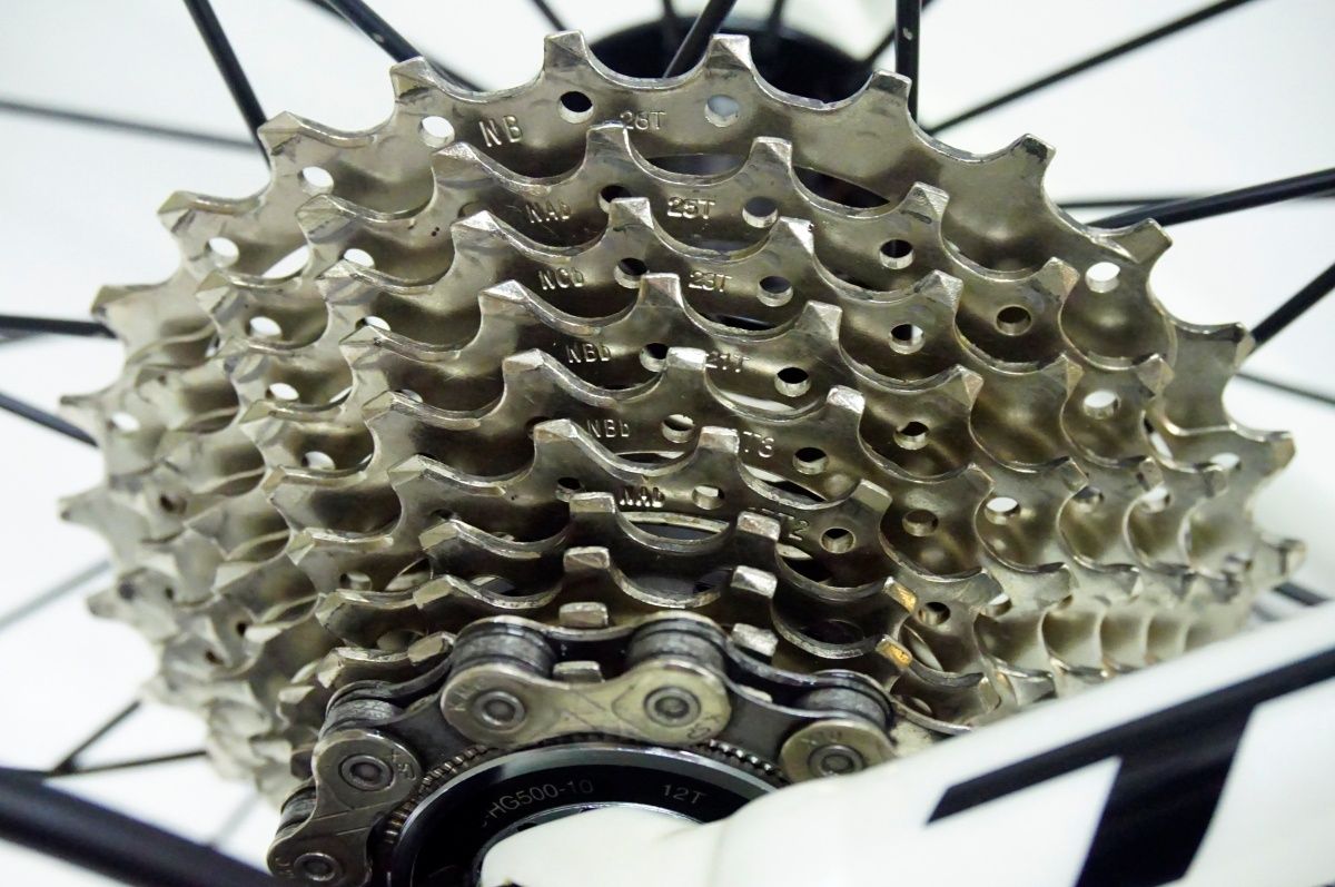 ジャイアント TCR