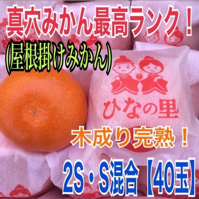 ひなの里 真穴みかん 屋根掛け個包装 40ヶ 愛媛県 八幡浜