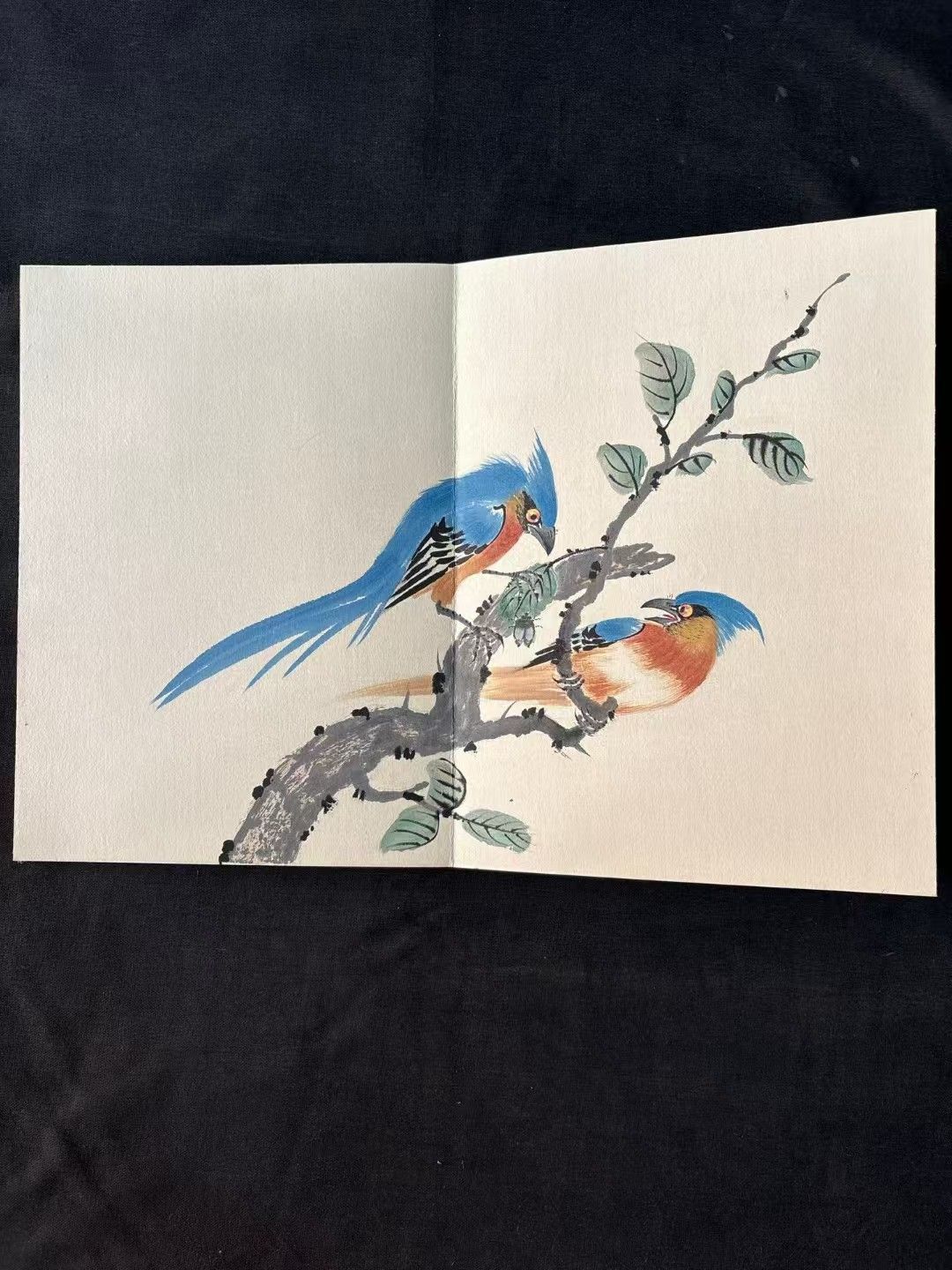 花鳥圖冊
