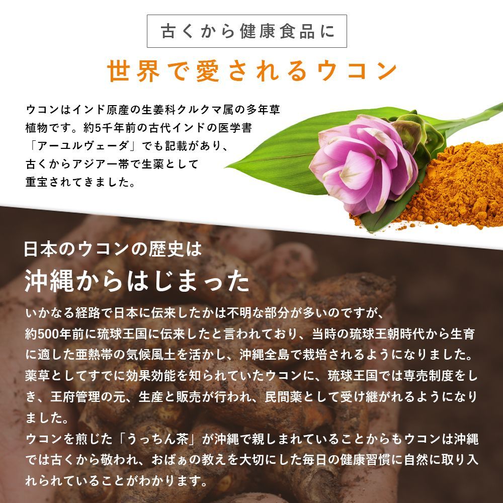 ガジュツ