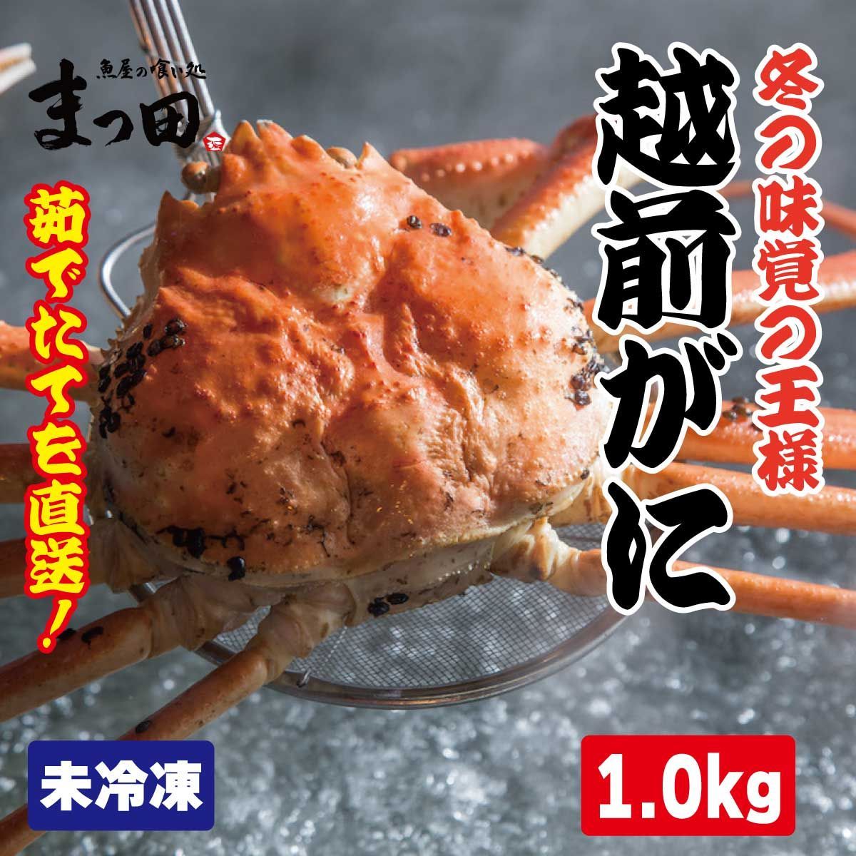 越前がに解禁！浜ゆで直送 越前がに1.0ｋｇ