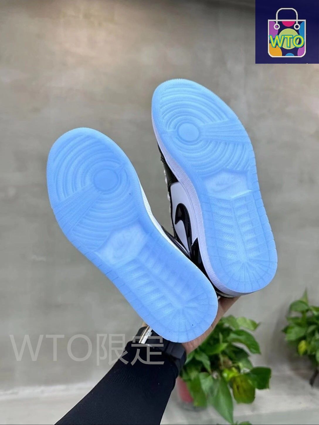 Concord 男女兼用-WTO輸入2