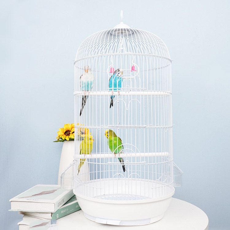 ホワイト 鳥用ケージ 高さ150cm ホワイト 鳥用ケージ 高さ150cm 楽天市場】鳥かご ホワイトの通販
