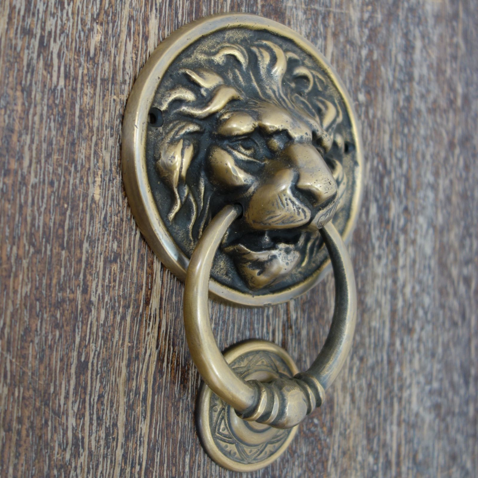 英国アンティーク 1930〜 ブラッドハウンド小さな真鍮製のドアノッカー