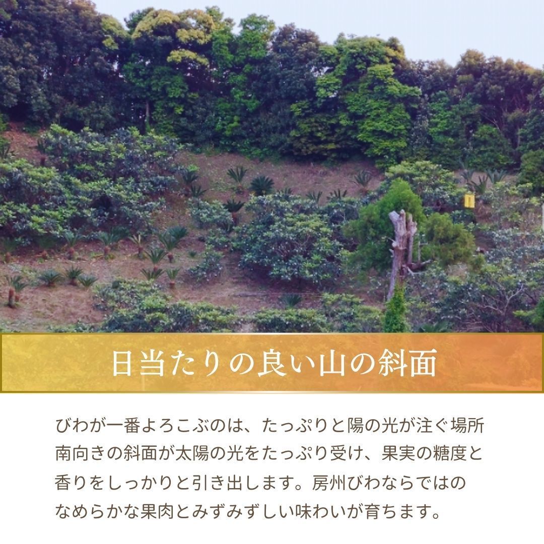 父の日 千葉県南房総市