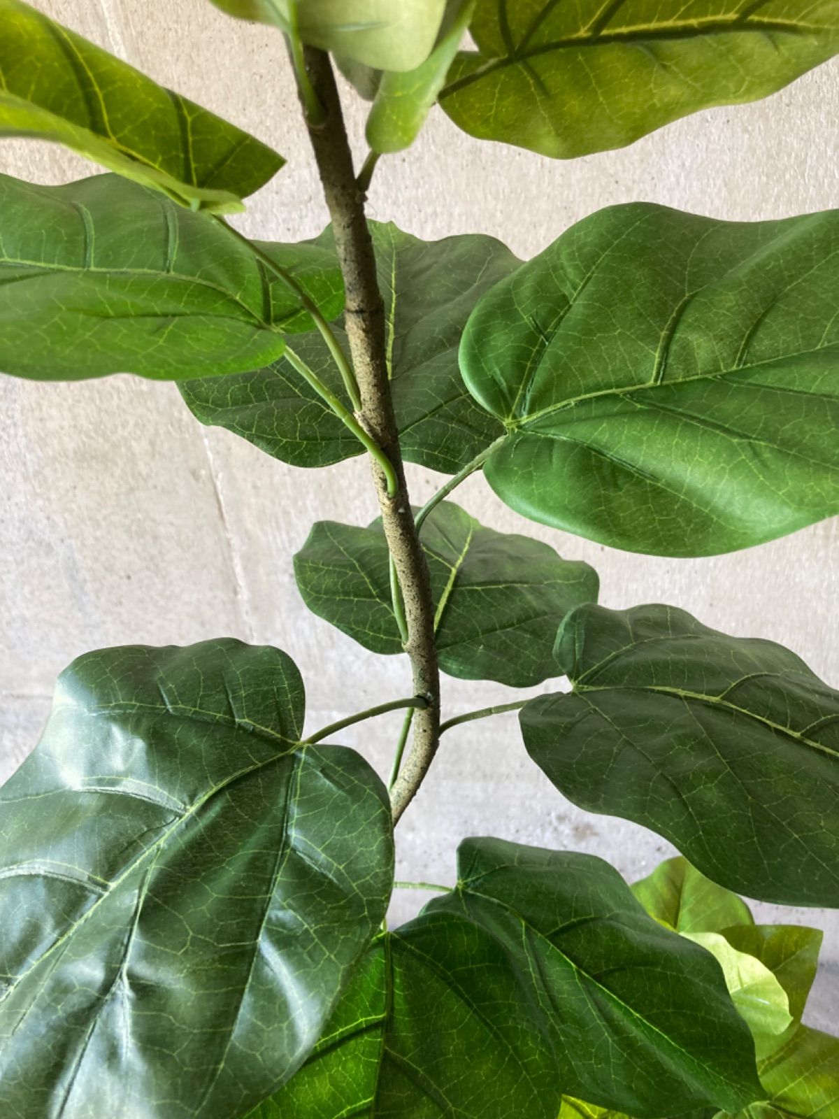 ウォールグリーン フェイクグリーン