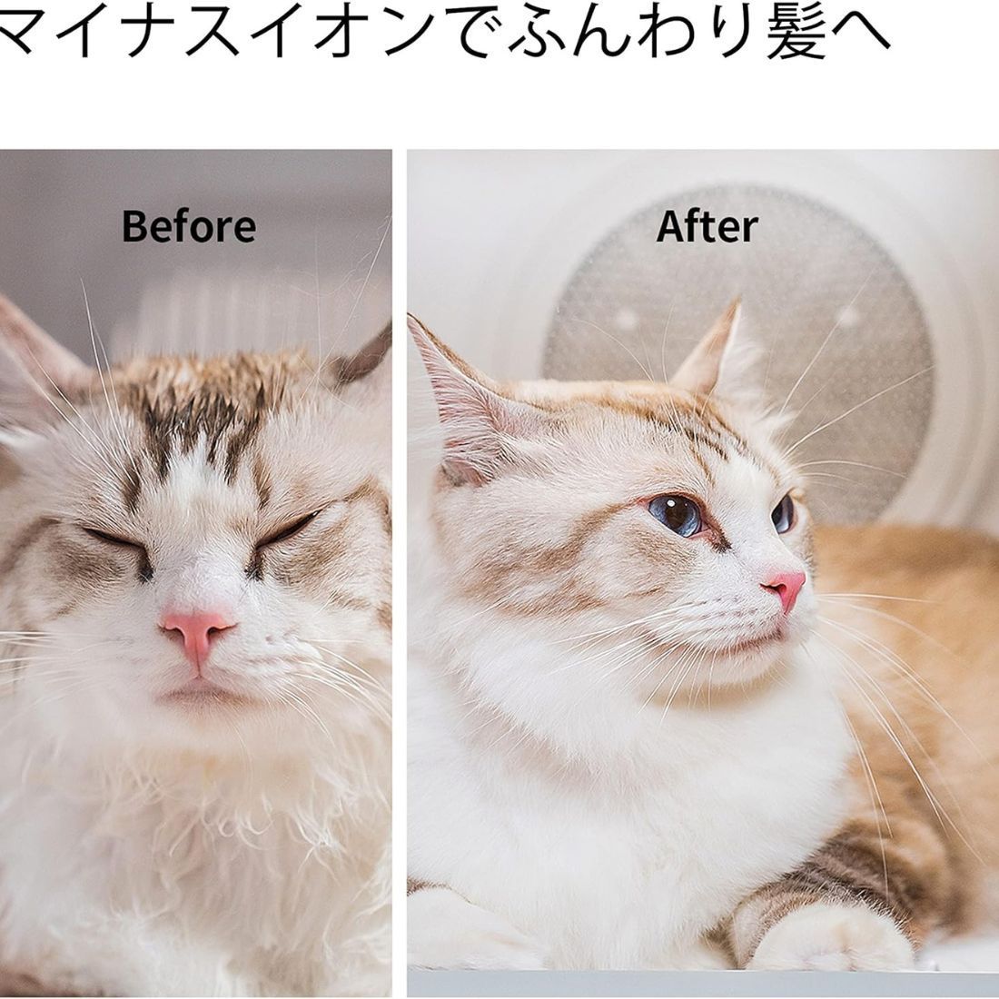 Pet Dryer
