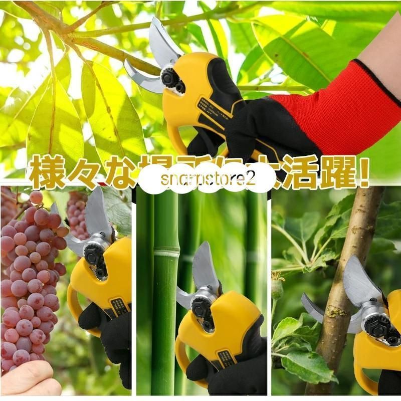 剪定鋏