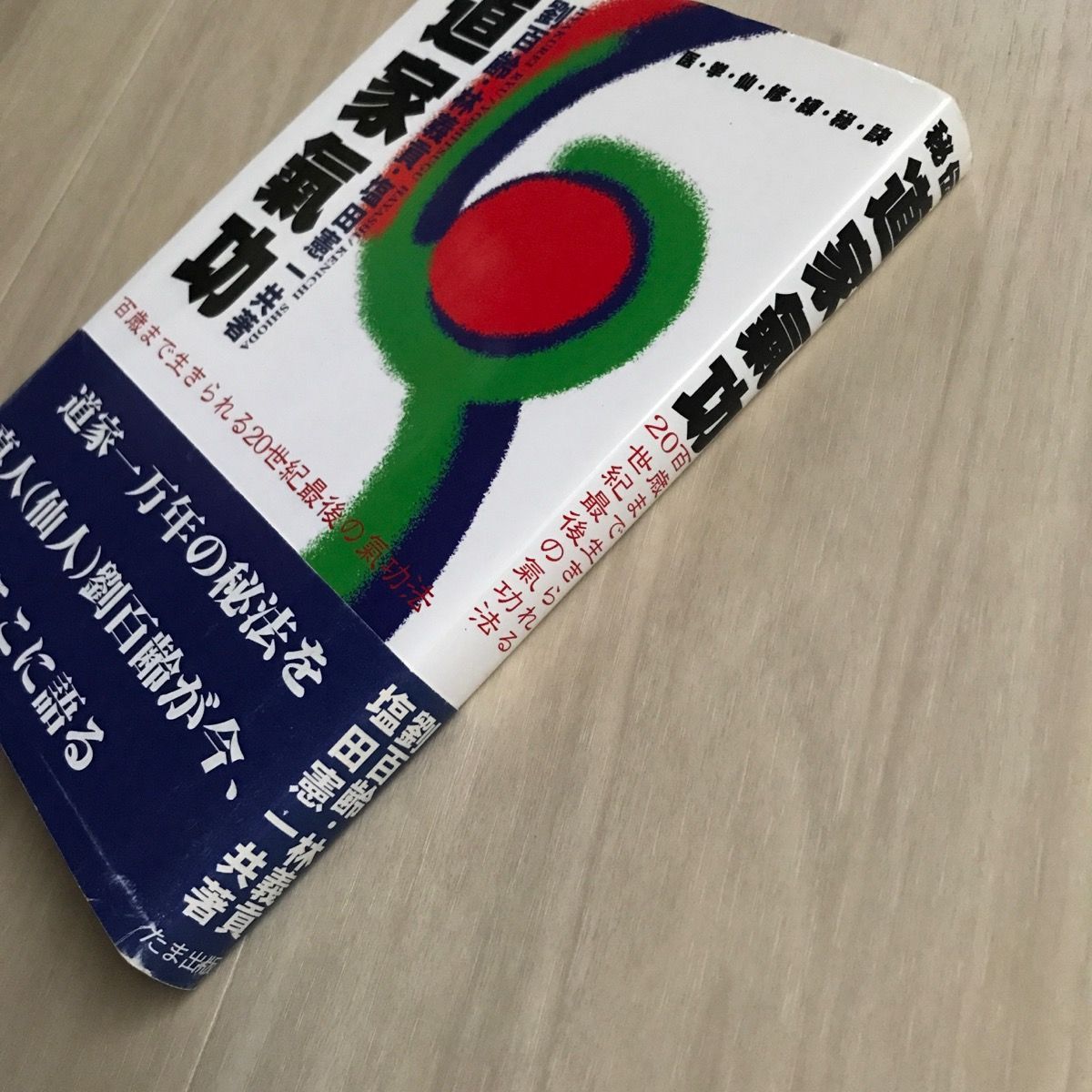 代ゼミテキスト 竹内睦泰 超速！日本通史の流れ(古代〜中世)1998年夏期 ...