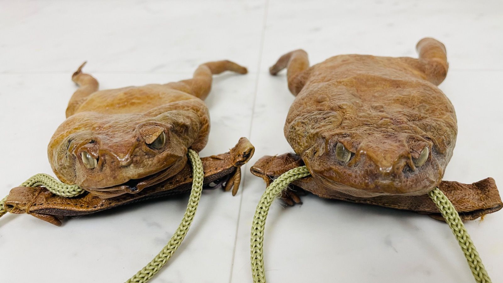 エキゾチックレザー カエル革 フロッグレザー　ハンドバッグ　財布　まとめセット エキゾチックレザー カエル革 フロッグレザー ハンドバッグ 財布