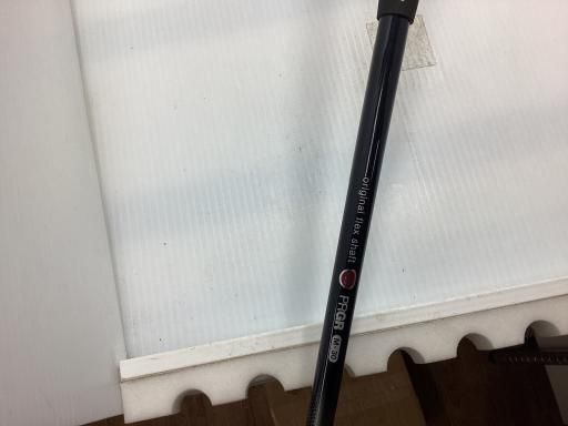 プロギア egg 2019 5 W レディース フェアウェイウッド FW eggオリジナルカーボン フレックスL 女性用 右利き 右用 Dランク ゴルフクラブ おすすめゴルフ用品 口コミゴルフ用品